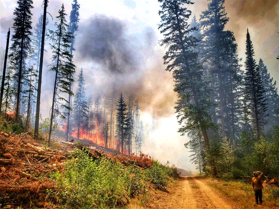 Summit Trail Fire