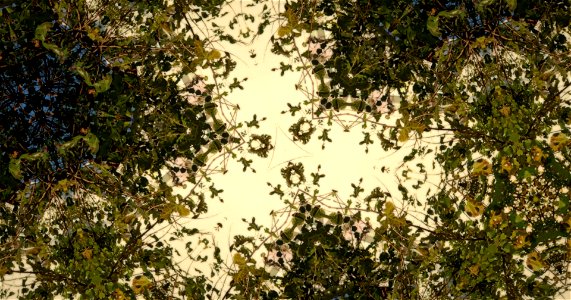 Kaleidoscope211210153402