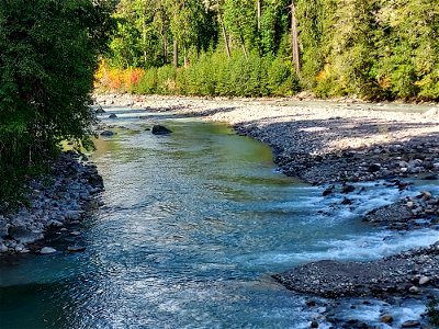 Sauk River from the Clear Creek Bridge, Mt. Baker-Snoqualmie National Forest. Photo by Anne Vassar Sept. 13, 2021. photo