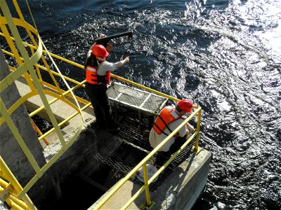 Service Employees Checking a Sea Lamprey Trap in the Menominee River, Michigan photo