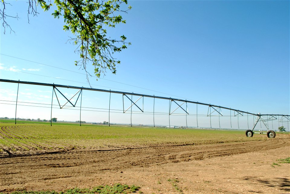 Colorado Farm 2022
