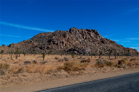 Joshua Tree National Park