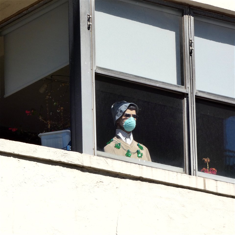 Masked Mannequin