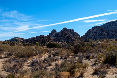 Joshua Tree National Park