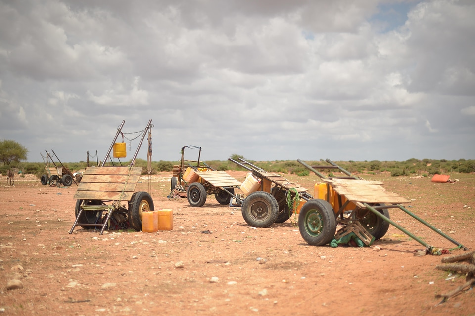 Cart wagon transport