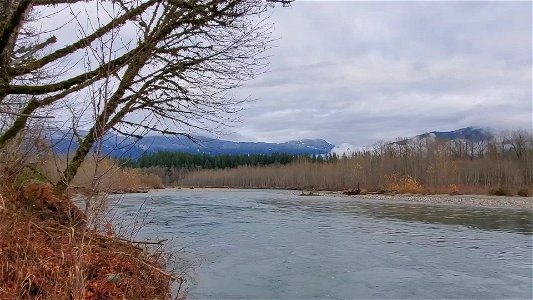 Sauk River near the confluence with Suiattle River. Video by Anne Vassar November 23, 2020.