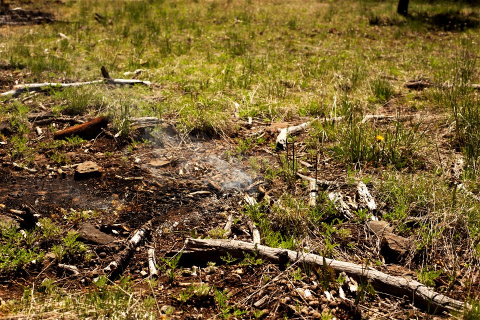Volunteer Fire