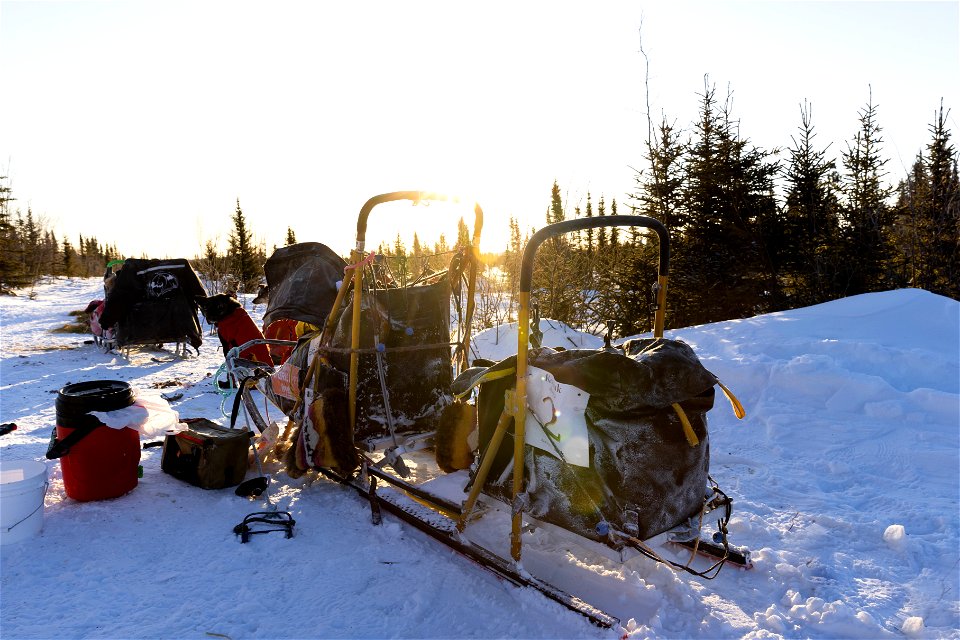 Kobuk 440 racers at Paniqsigvik shelter cabin.