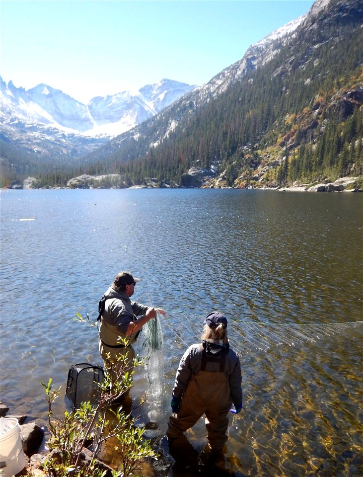 Fish Health Survey at Mills Lake