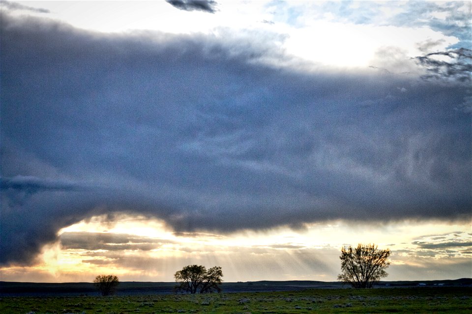 Small, Medium, and Large under the Storm Clouds