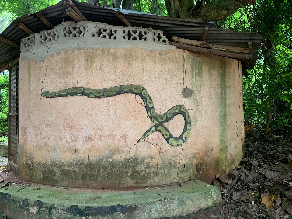 House wall painting art