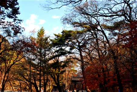 Songnisan Mountain Park