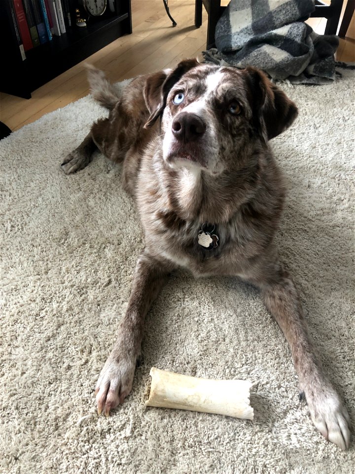 With the Head Tilt!