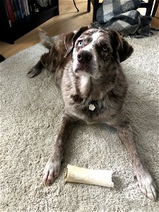 With the Head Tilt!