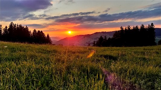 IMG_20220727_205517