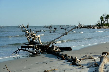 P1940662