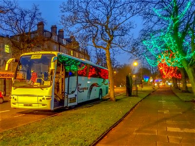 Harrogate Reflections