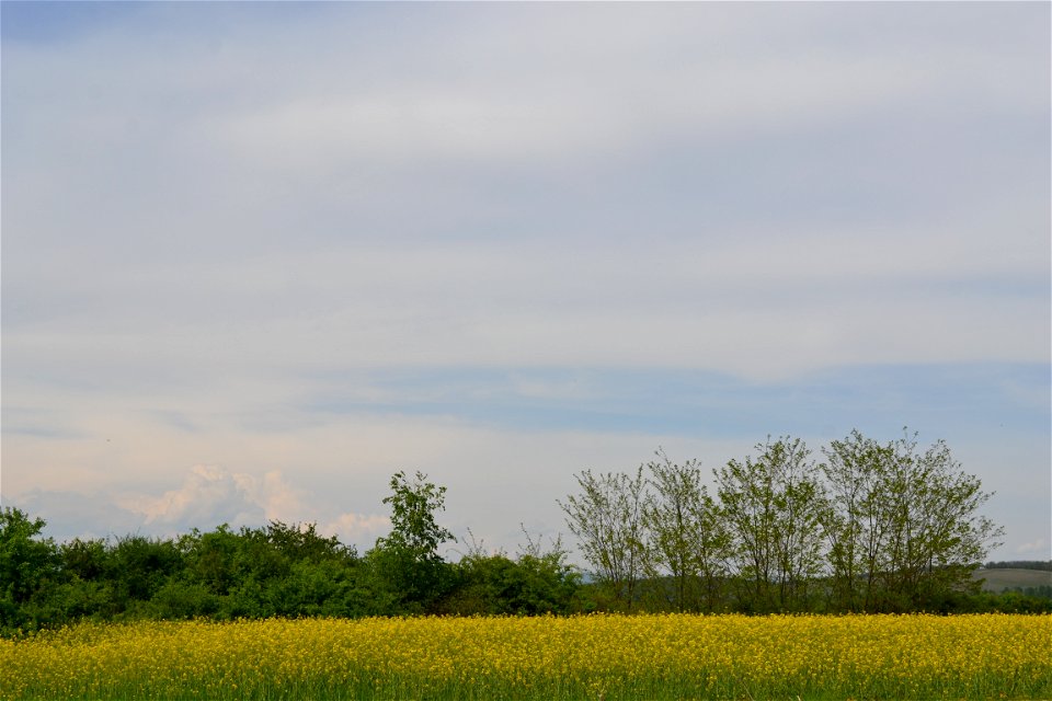 From the field