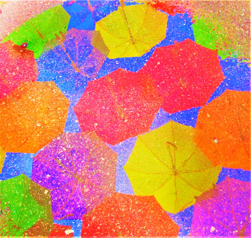 umbrellas on wet pavement