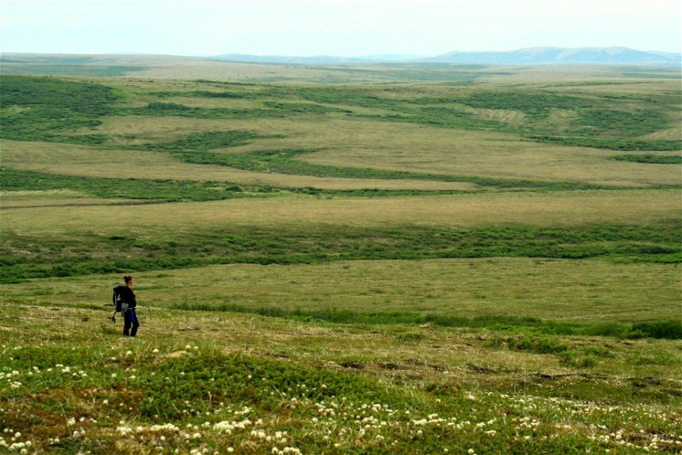 Hiking in Andreafsky Wilderness_25June2010_ALereculeur
