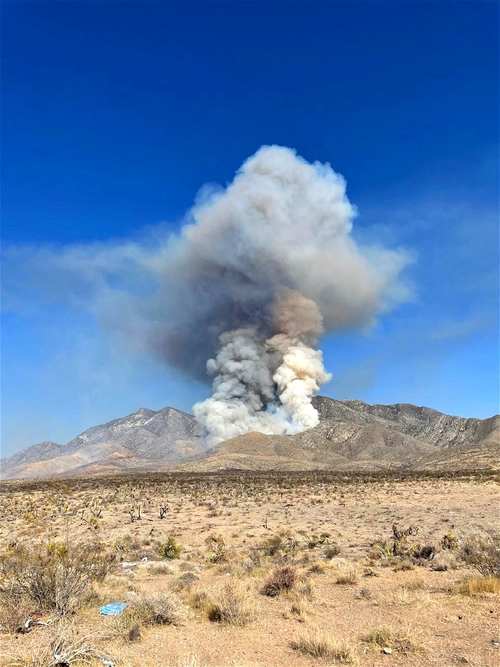 Sandy Valley Fire