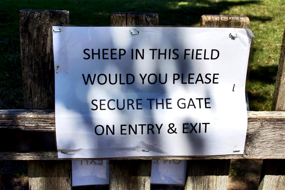 I never realised sheep can read?