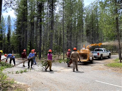 Removing Hazard Trees in Preparation for Use of Campgrounds  on the Umpqua National Forest, Oregon