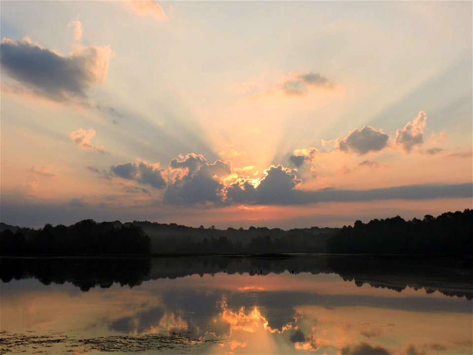 Sunrise over still waters