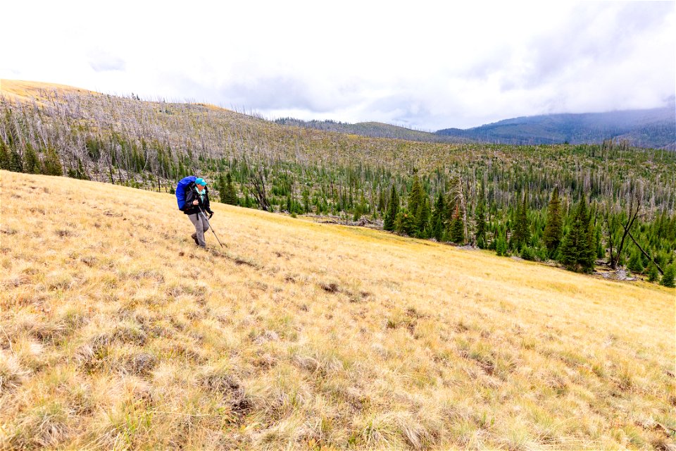 Backpacker on the trail west of Hoodoo basin