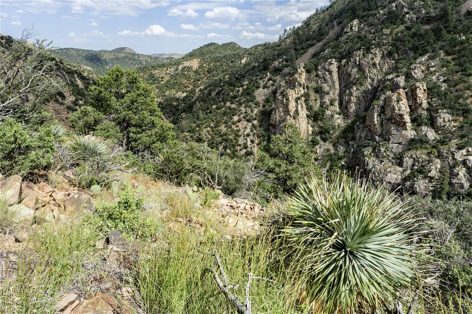Upper Percha Creek