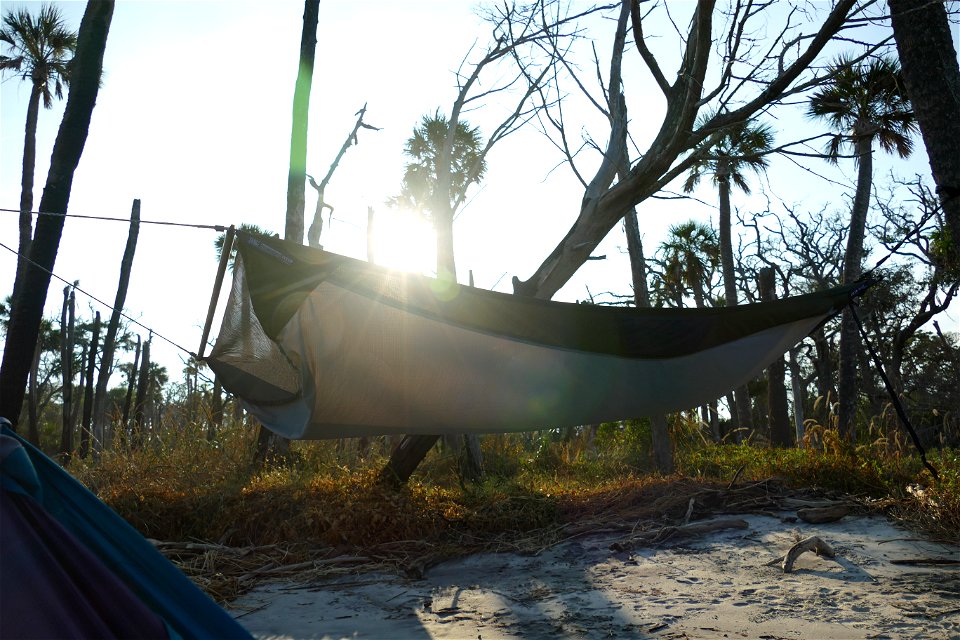 Hammock sunshine-P1950041