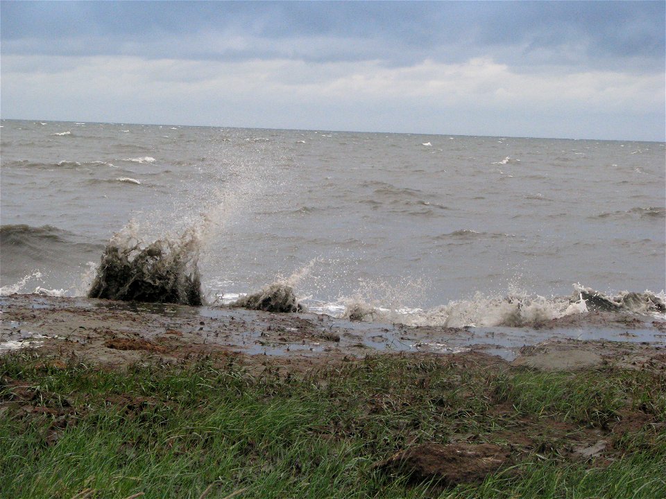 Waves along the coast