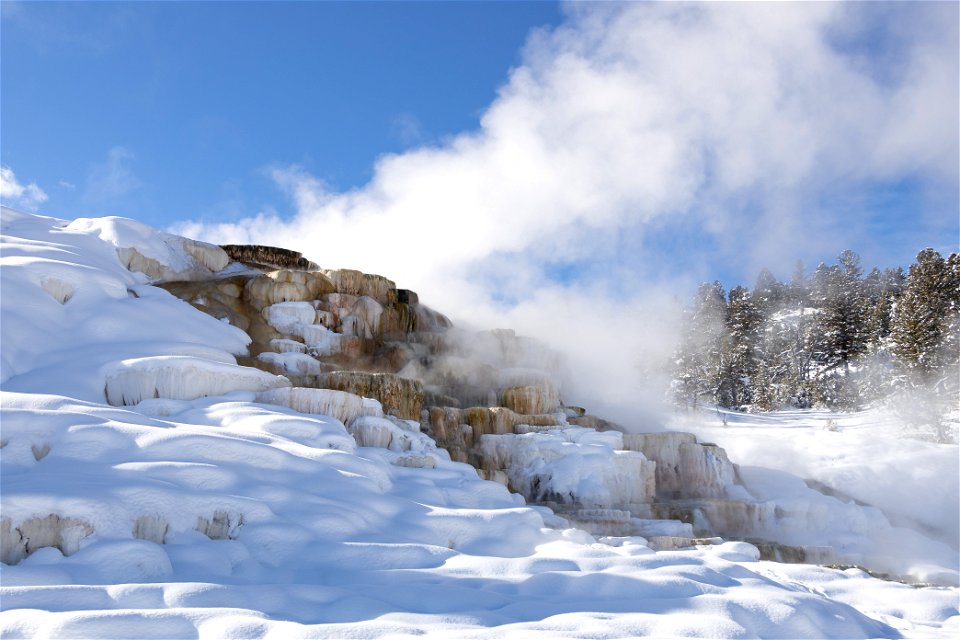 Palette Spring in the snow photo