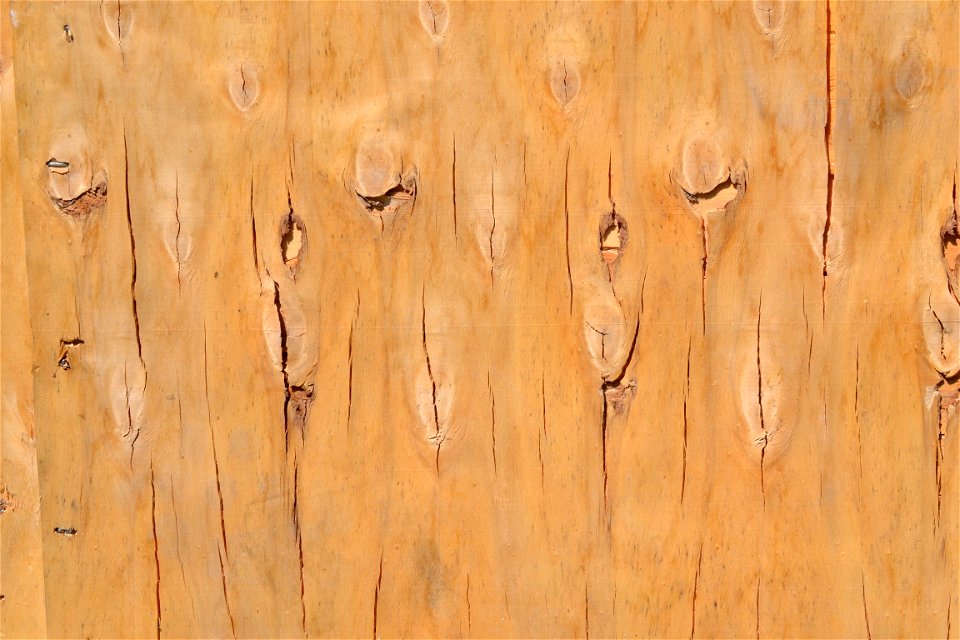 Texture