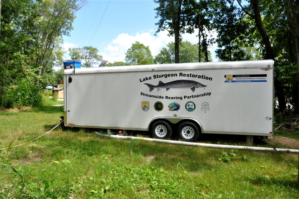 Sturgeon Streamside Rearing Unit