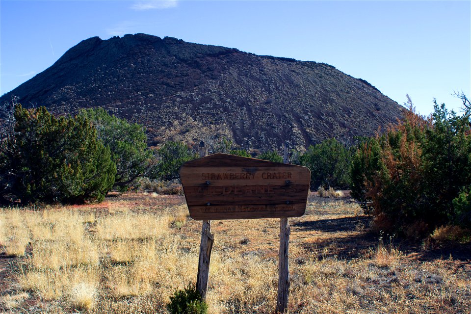 NAU Wilderness Management Class Fieldtrip