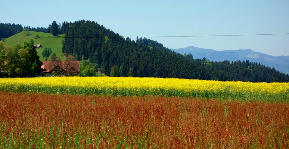 DSC09488