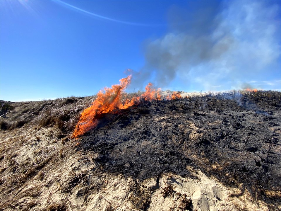 Siuslaw Oregon Dunes Prescribed Burn 2022
