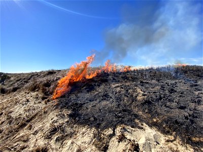 Siuslaw Oregon Dunes Prescribed Burn 2022 photo