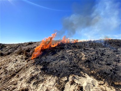 Siuslaw Oregon Dunes Prescribed Burn 2022