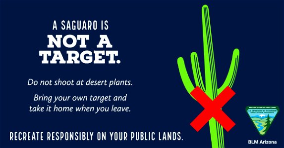 A Saguaro Is Not a Target