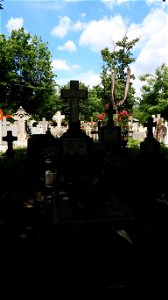 Bellu_cemetery (47) photo