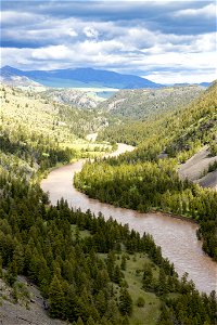 Yellowstone flood event 2022: Yellowstone River above Blacktail Bridge (portrait)