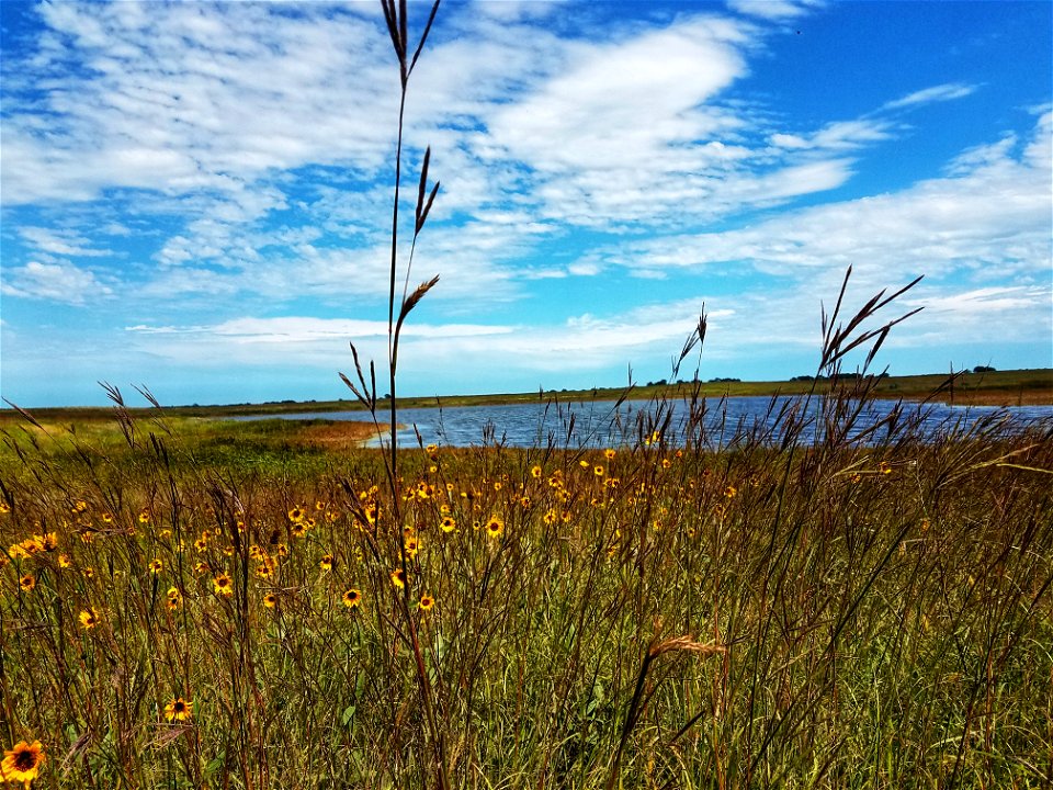 Big Bluestem & Wildflowers Lake Andes Wetland Management District South Dakota