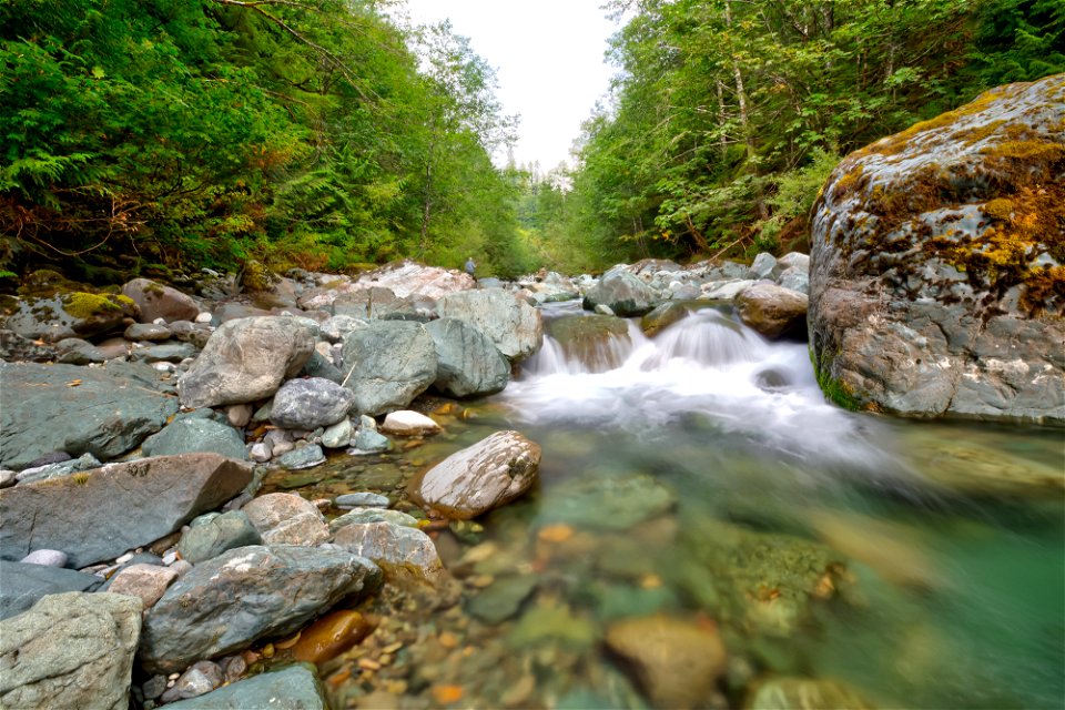 PNTA-Swift Creek-Mount Baker-13