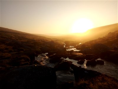 IMG_20210716_055937 Dartmoor Ponies at Sunrise , Dartmoor National Park, Devon, UK