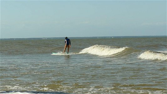 Ari flip-P1970280