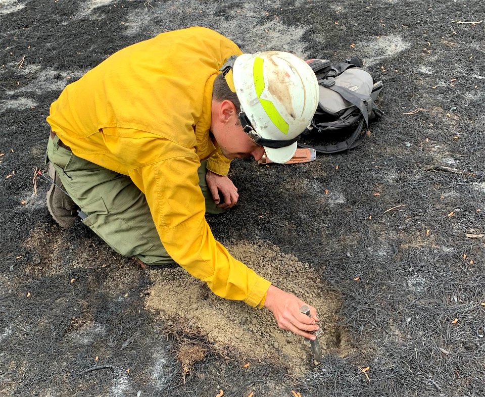 Soil Scientist Rob Ballard looks at soil burn severity
