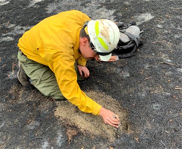 Soil Scientist Rob Ballard looks at soil burn severity