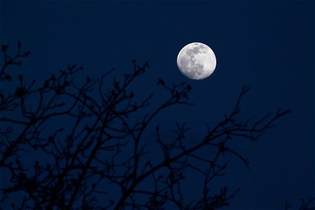 The Moon rises on April 14, 2022 photo